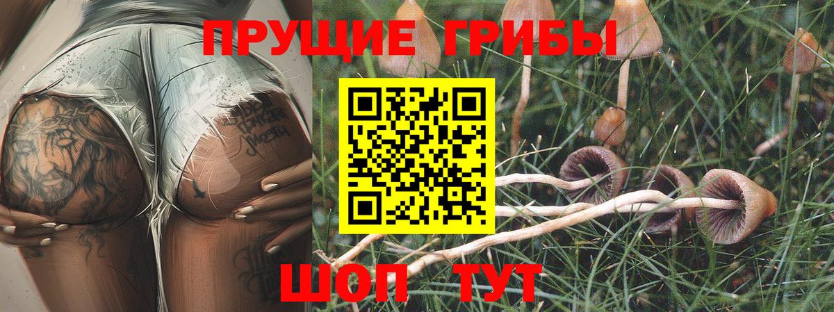 Галлюциногенные грибы GOLDEN TEACHER  Псилоцибиновые грибы Psilocybe  Вход с VPN  Зима 