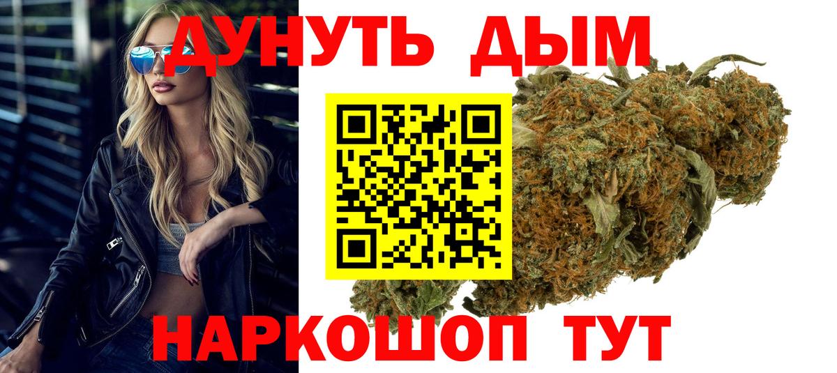 Каннабис OG Kush Зима